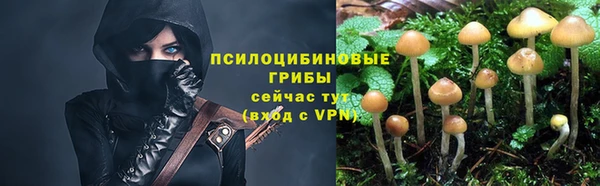 2c-b Зеленокумск
