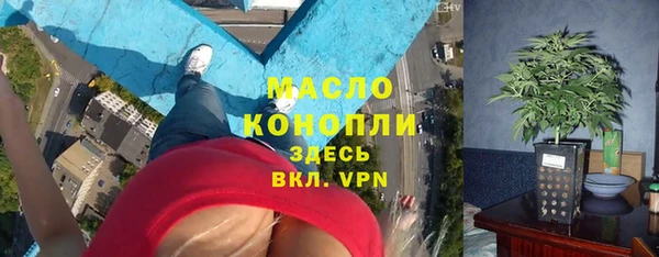 мет Инта