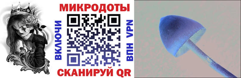 Псилоцибиновые грибы MAGIC MUSHROOMS  Карабаново 
